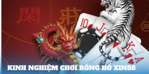 Kinh nghiệm chơi Rồng Hổ Xin88